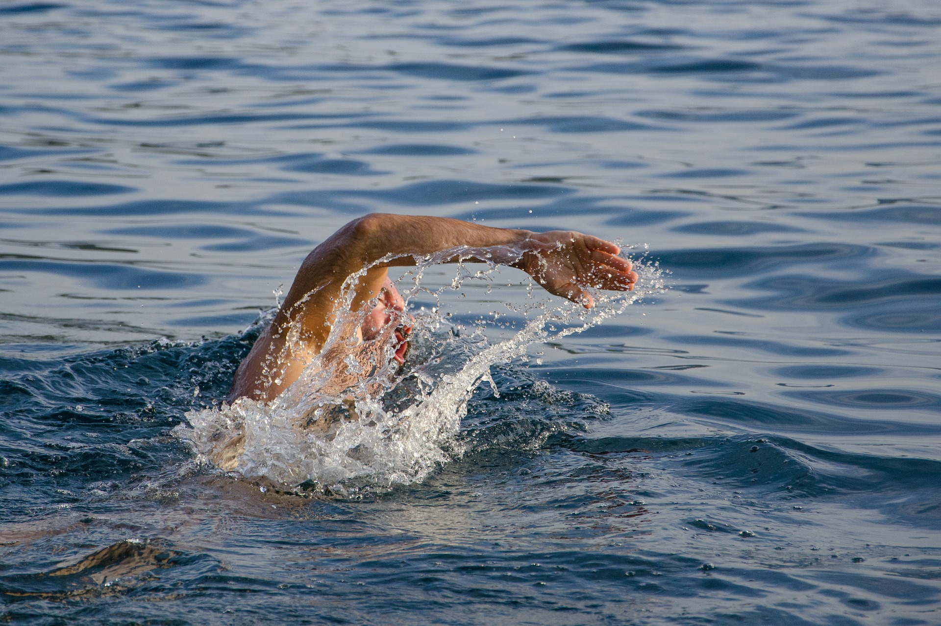 FreedomSwim – Open Water Swimming and Health