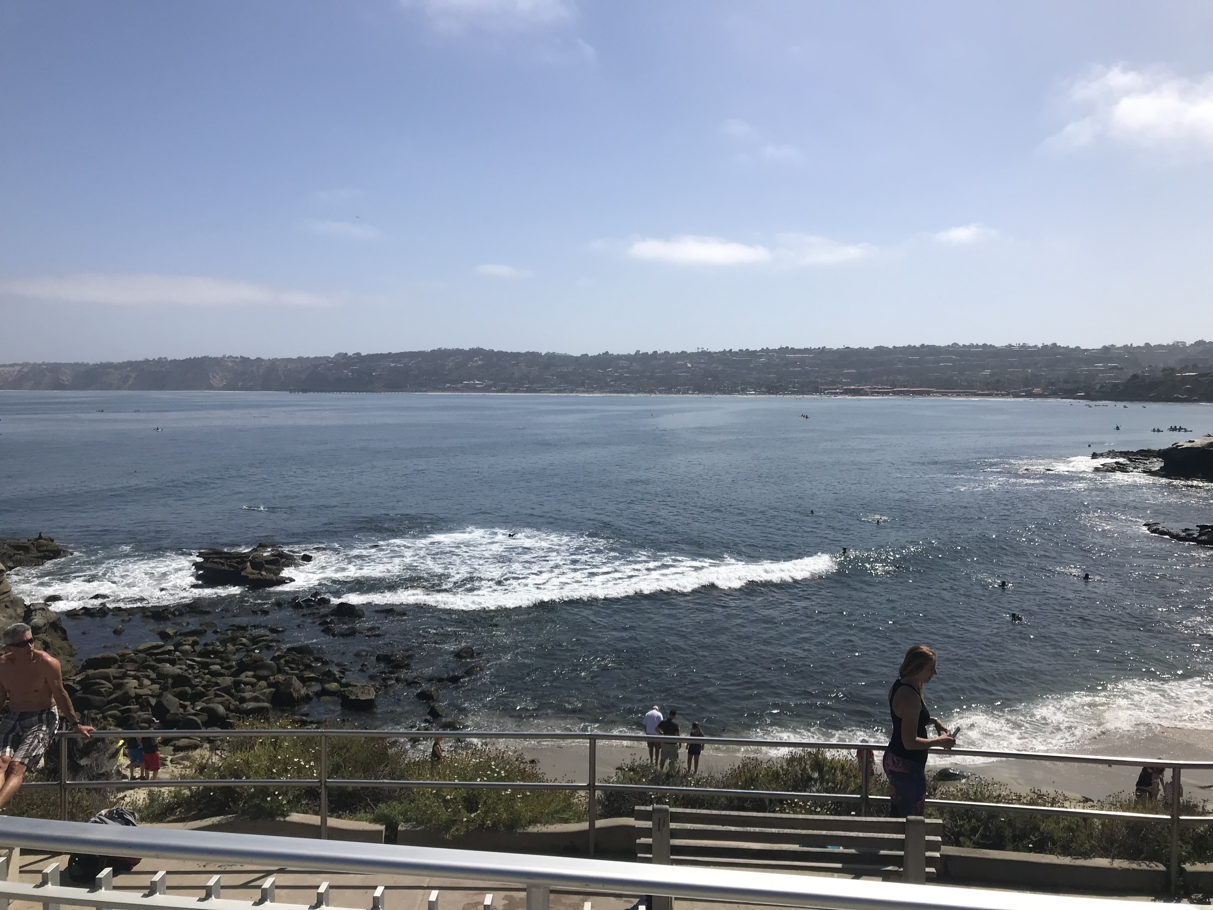 You are currently viewing La Jolla Cove – Jewel and Aqua Playground of San Diego